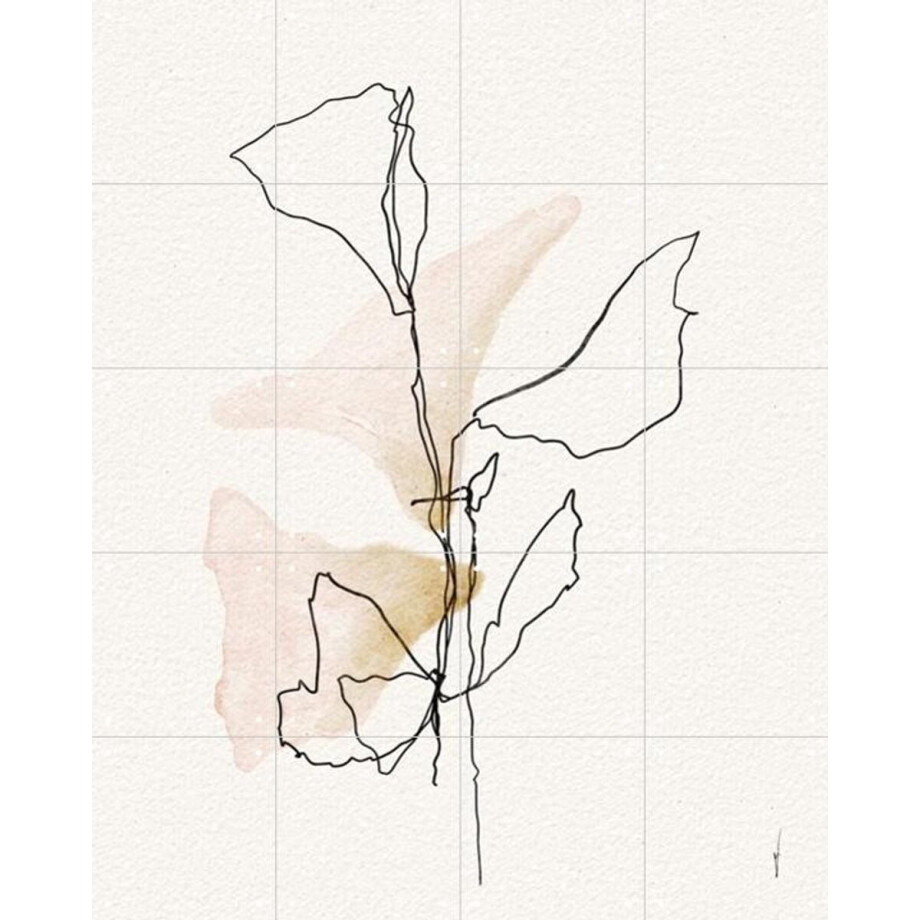 IXXI Minimal Bloom Lines, Ankie Kooi & Various - 80 x 100 cm - Gratis ophangtool - Grote wanddecoratie en posters - Minimalistisch, Aquarel, Line art IXXI Minimal Bloom Lines, Ankie Kooi & Various - 80 x 100 cm - Gratis ophangtool - Grote wanddecoratie en posters - Minimalistisch, Aquarel, Line art afbeelding 1