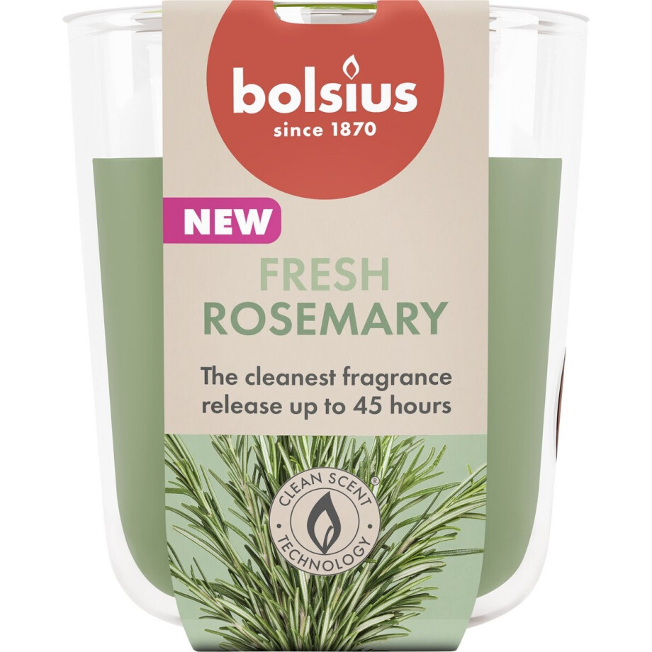 Bolsius - True Scents - 4 Geurkaarsen - Rozemarijn - Groen - Voordeelverpakking - Geur Kaars afbeelding 1