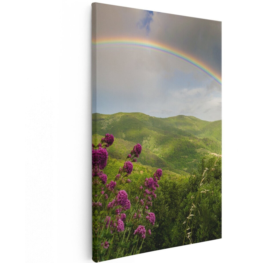 Artaza Canvas Schilderij Regenboog in de Heuvel Bossen - 120x180 cm - Groot - Wanddecoratie Woonkamer - Schilderijen - Muurdecoratie afbeelding 1
