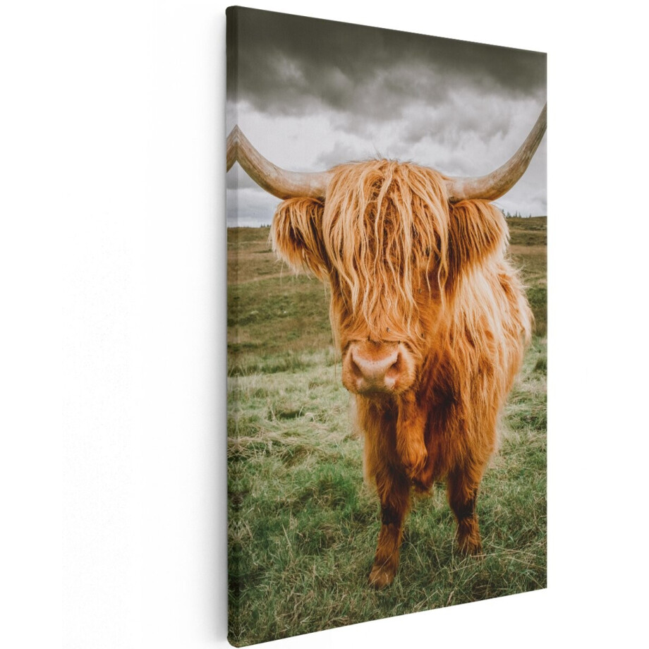 Artaza Canvas Schilderij Schotse Hooglanders In De Wei - Kleur - 100x150 cm - Groot - Wanddecoratie Woonkamer - Schilderijen - Muurdecoratie afbeelding 1