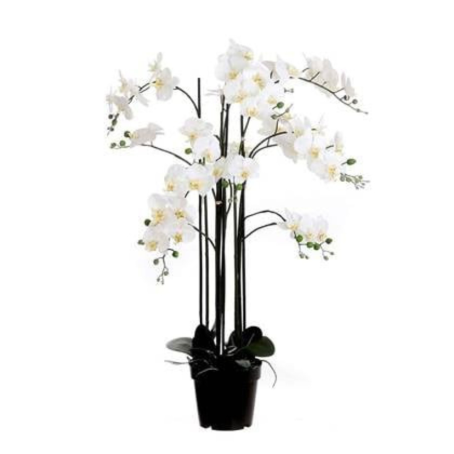 Mica Decorations orchidee in plastic pot creme maat in cm: 35x35x117 afbeelding 1
