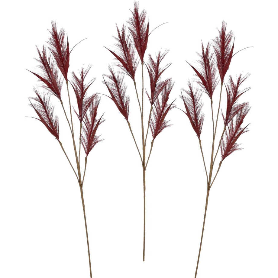 House of Seasons pluimgras losse tak - 3x - meerdere stengels - bordeaux rood - 98 cm - Decoratie House of Seasons pluimgras losse tak - 3x - meerdere stengels - bordeaux rood - 98 cm - Decoratie afbeelding 1