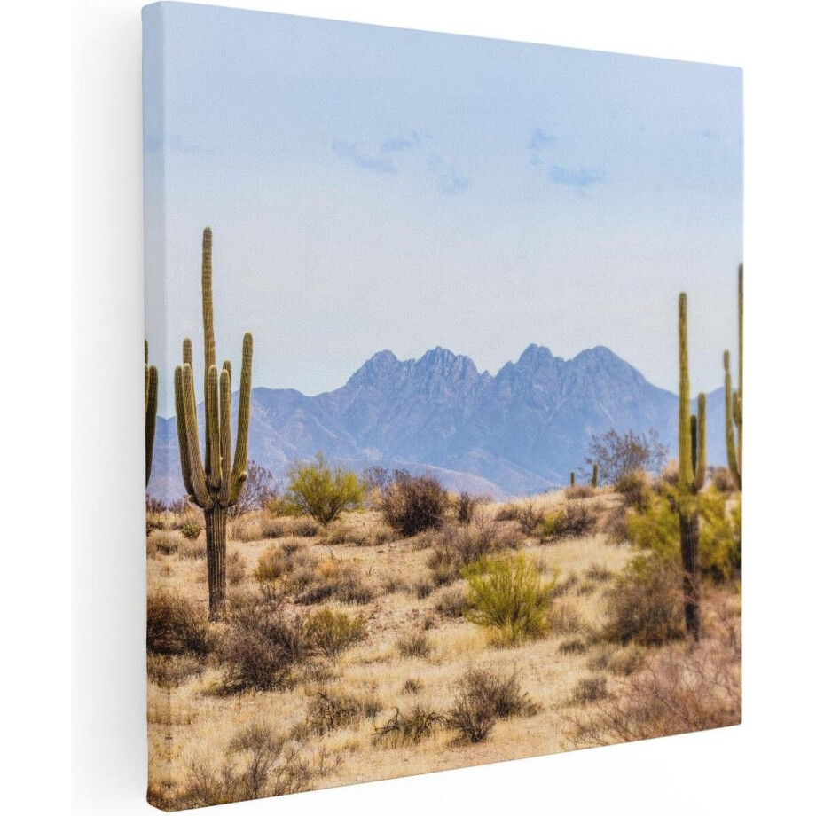 Artaza Canvas Schilderij Cactussen in de Woestijn - 90x90 - Groot - Foto Op Canvas - Canvas Print afbeelding 1