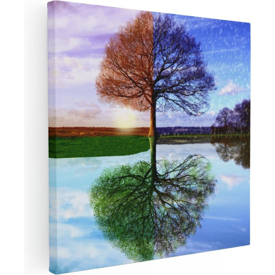 Artaza Canvas Schilderij Vier Seizoenen Boom - 50x50 - Foto Op Canvas - Canvas Print afbeelding 1