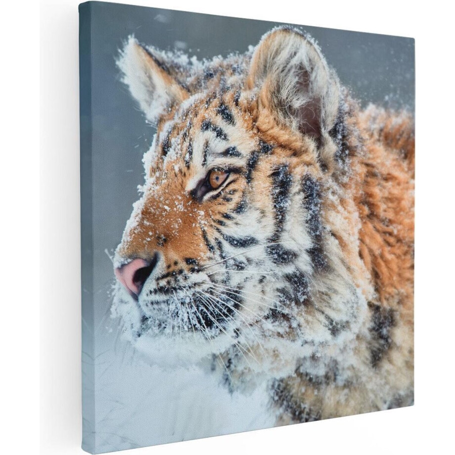Artaza Canvas Schilderij Tijger - 60x60 cm - Wanddecoratie Dieren - Muurdecoratie Winter - Schilderijen Op Canvas afbeelding 1