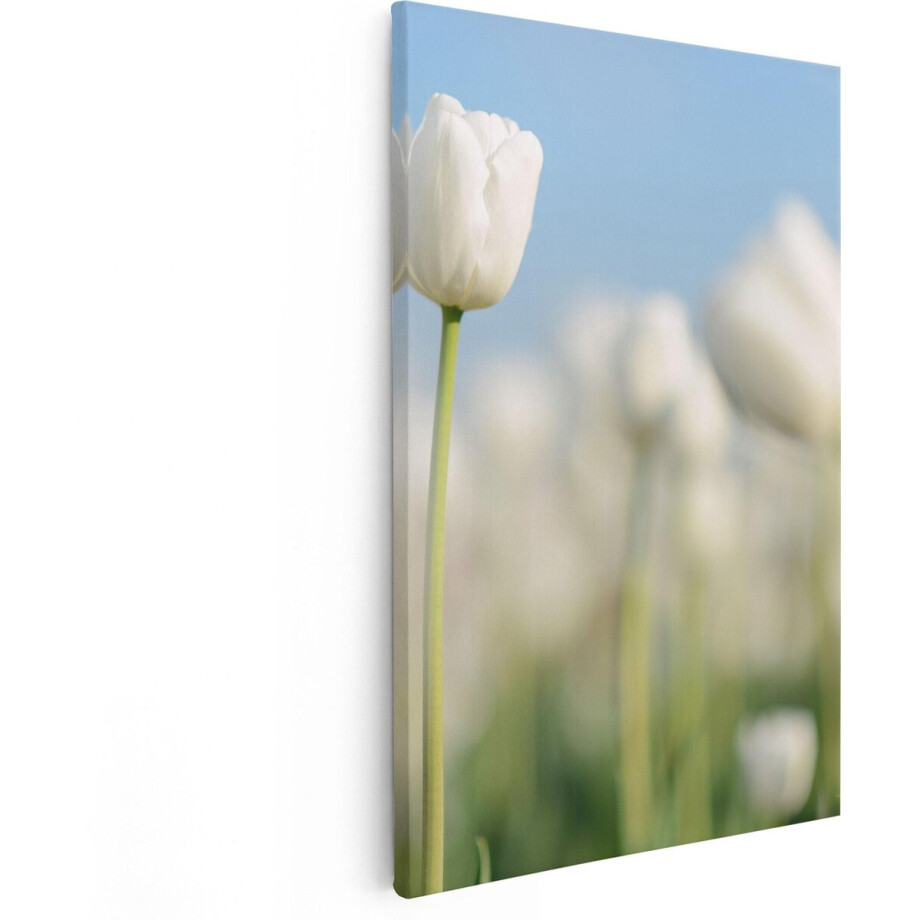 Artaza Canvas Schilderij Witte Tulpen - 80x120 cm - Groot - Wanddecoratie Bloemen - Muurdecoratie Bloemenveld - Schilderijen Op Canvas Artaza Canvas Schilderij Witte Tulpen - 80x120 cm - Groot - Wanddecoratie Bloemen - Muurdecoratie Bloemenveld - Schilderijen Op Canvas afbeelding 1