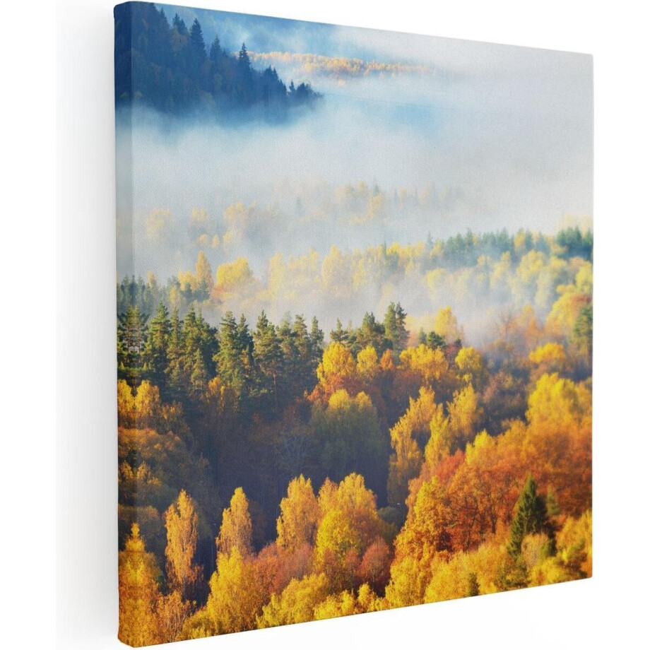 Artaza Canvas Schilderij Gekleurde Herfstbos Met Mist - 70x70 - Foto Op Canvas - Canvas Print afbeelding 1