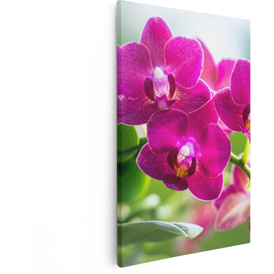 Artaza Canvas Schilderij Roze Orchidee Bloemen - 80x120 - Groot - Foto Op Canvas - Canvas Print afbeelding 1