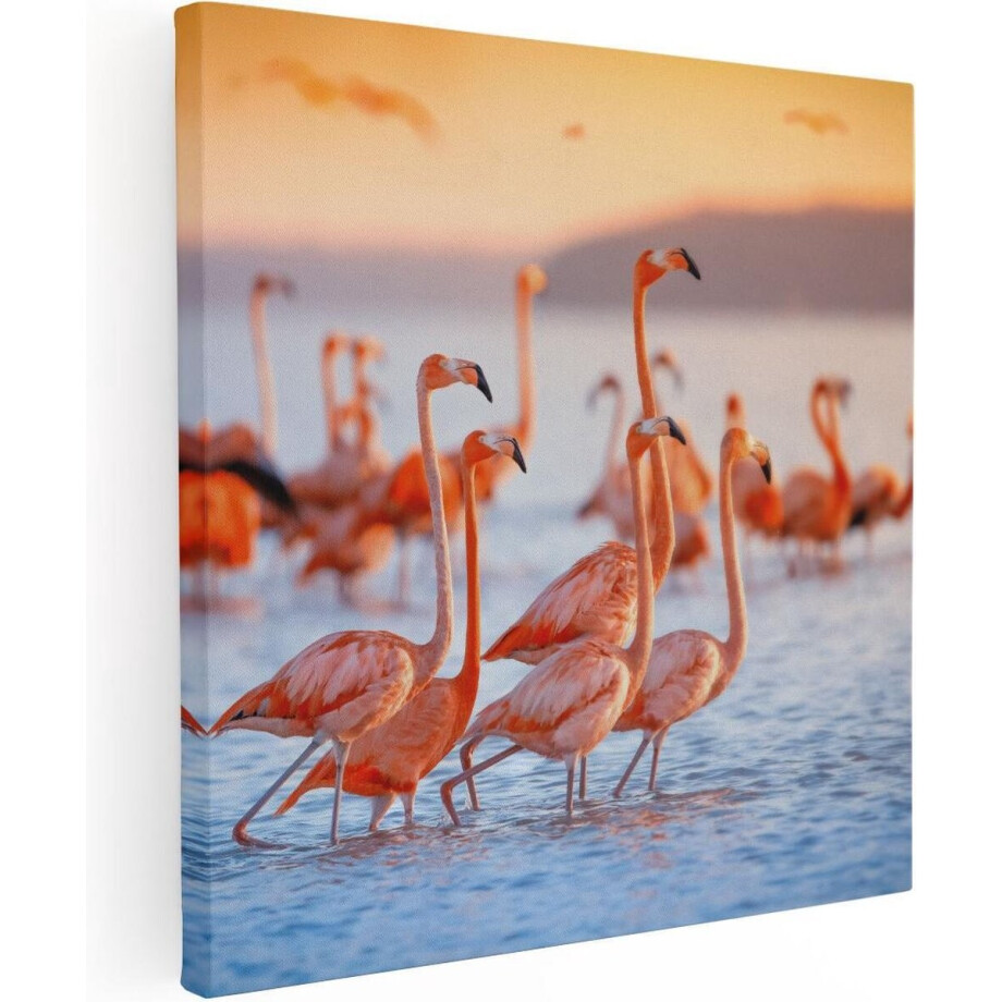 Artaza Canvas Schilderij Kudde Flamingo's in het Water - 70x70 - Foto Op Canvas - Canvas Print afbeelding 1
