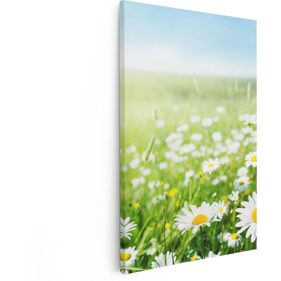 Artaza Canvas Schilderij Bloemenveld Van Madeliefjes - Bloemen - 60x90 - Foto Op Canvas - Canvas Print Artaza Canvas Schilderij Bloemenveld Van Madeliefjes - Bloemen - 60x90 - Foto Op Canvas - Canvas Print afbeelding 1