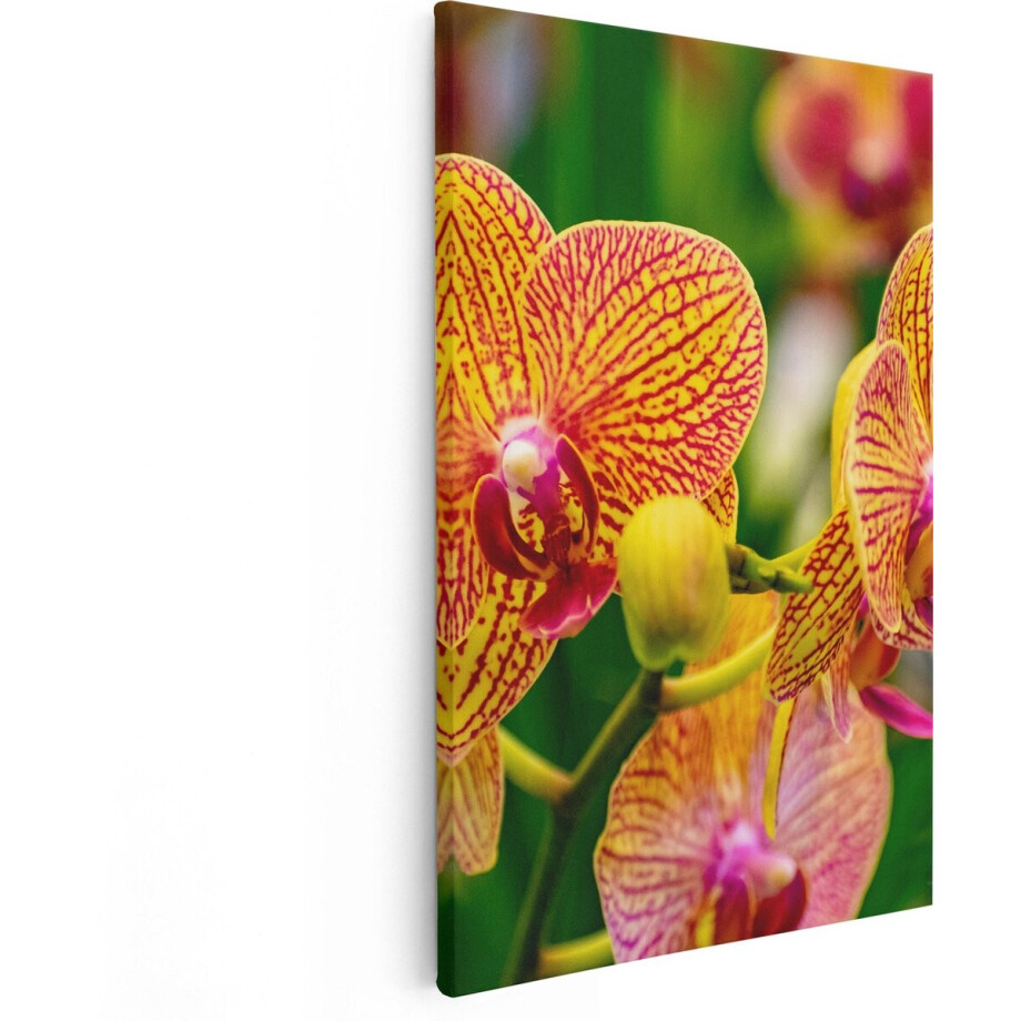 Artaza Canvas Schilderij Geel Rode Orchidee Bloemen - 60x90 - Foto Op Canvas - Canvas Print Artaza Canvas Schilderij Geel Rode Orchidee Bloemen - 60x90 - Foto Op Canvas - Canvas Print afbeelding 1