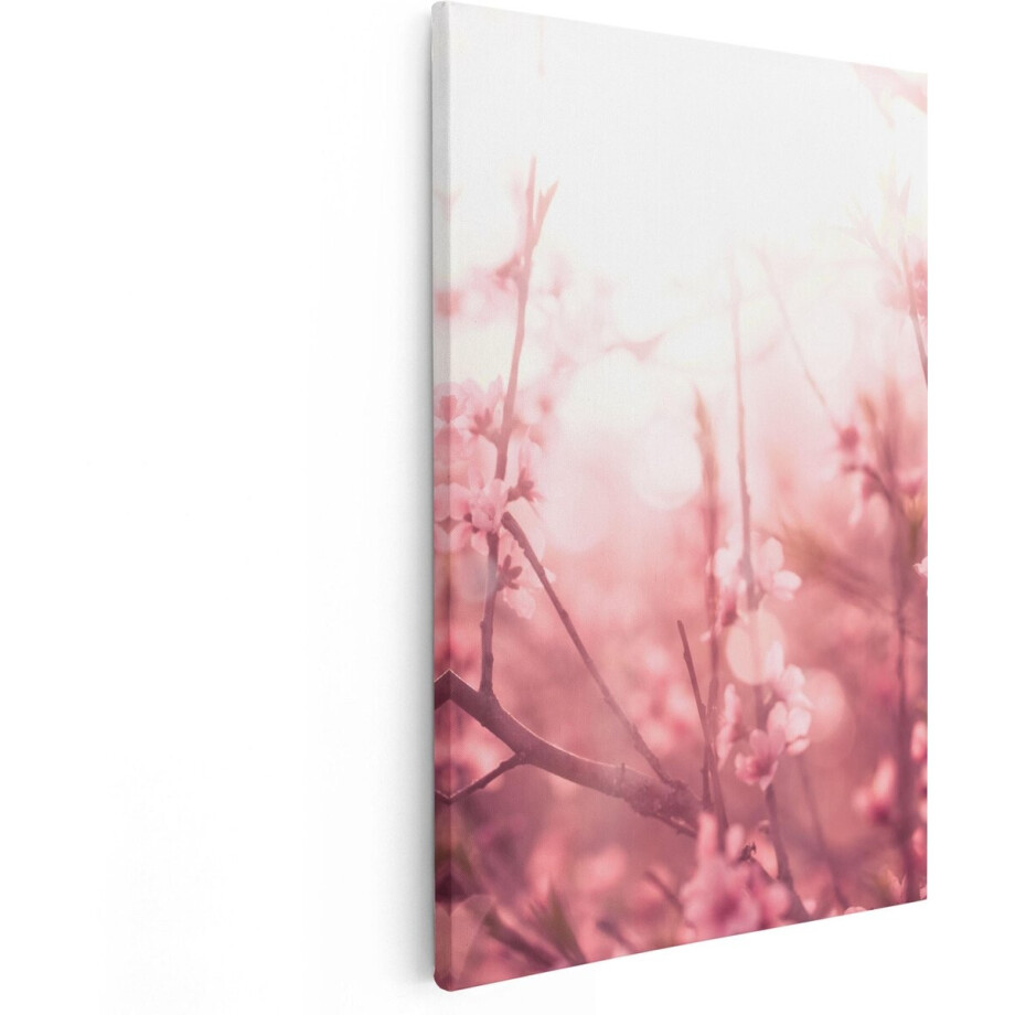 Artaza Canvas Schilderij Roze Bloesemboom Met Zonneschijn - 20x30 - Klein - Foto Op Canvas - Canvas Print afbeelding 1