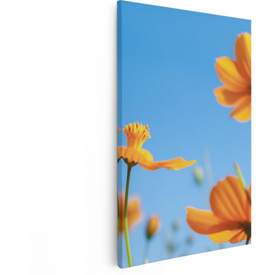 Artaza Canvas Schilderij Oranje Cosmea Bloemen - 80x120 - Groot - Foto Op Canvas - Canvas Print afbeelding 1
