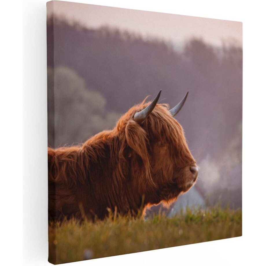 Artaza Canvas Schilderij Schotse Hooglander Koe Ligt In Het Gras - 50x50 - Foto Op Canvas - Canvas Print Artaza Canvas Schilderij Schotse Hooglander Koe Ligt In Het Gras - 50x50 - Foto Op Canvas - Canvas Print afbeelding 1