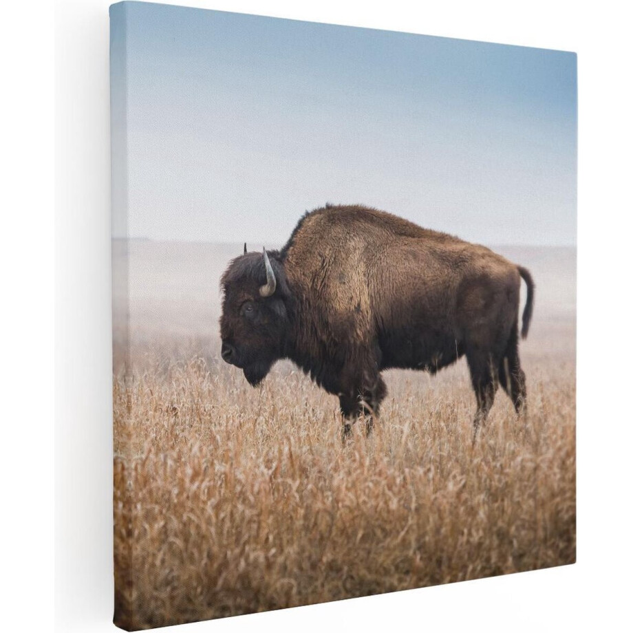 Artaza Canvas Schilderij Bizon in het Gras - 40x40 - Klein - Foto Op Canvas - Canvas Print afbeelding 1