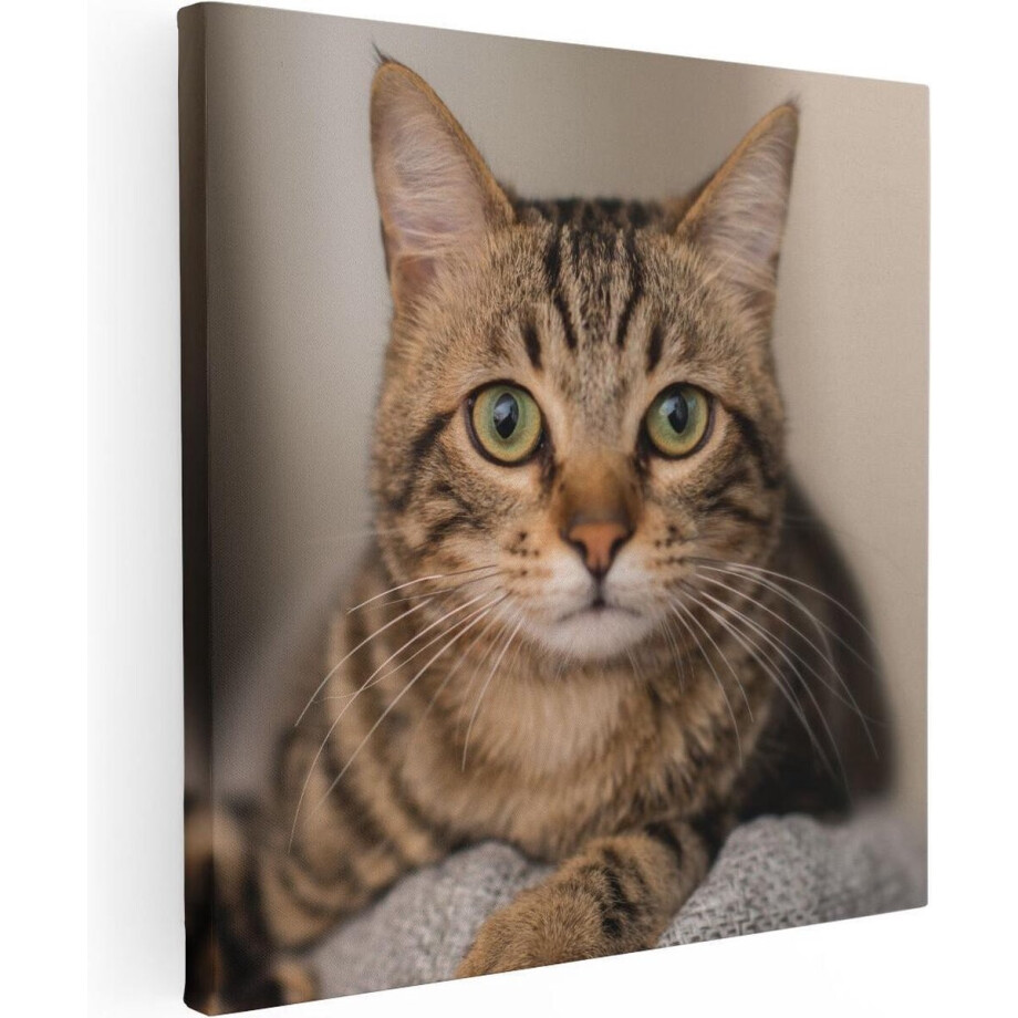 Artaza Canvas Schilderij Kat - 70x70 cm - Wanddecoratie Dieren - Muurdecoratie Woonkamer - Schilderijen Op Canvas Artaza Canvas Schilderij Kat - 70x70 cm - Wanddecoratie Dieren - Muurdecoratie Woonkamer - Schilderijen Op Canvas afbeelding 1