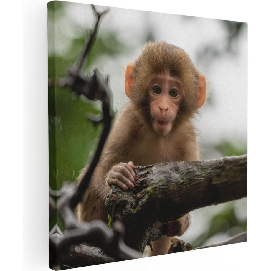 Artaza Canvas Schilderij Klein Baby Aapje Op Een Tak - 90x90 - Groot - Foto Op Canvas - Canvas Print afbeelding 1