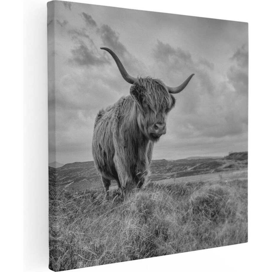 Artaza Canvas Schilderij Schotse Hooglander In De Wei - Zwart Wit - 60x60 - Foto Op Canvas - Canvas Print Artaza Canvas Schilderij Schotse Hooglander In De Wei - Zwart Wit - 60x60 - Foto Op Canvas - Canvas Print afbeelding 1