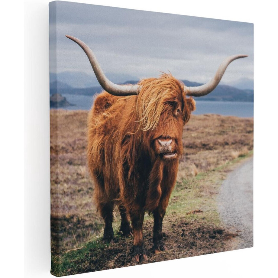 Artaza Canvas Schilderij Schotse Hooglander Koe Op De Weg - 30x30 cm - Klein - Wanddecoratie Woonkamer - Schilderijen - Muurdecoratie Artaza Canvas Schilderij Schotse Hooglander Koe Op De Weg - 30x30 cm - Klein - Wanddecoratie Woonkamer - Schilderijen - Muurdecoratie afbeelding 1
