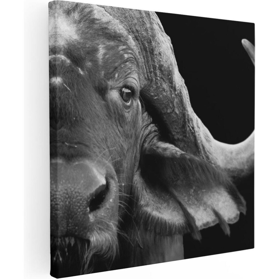 Artaza Canvas Schilderij Buffel - 70x70 cm - Wanddecoratie Dierenkop - Muurdecoratie Zwart Wit - Schilderijen Op Canvas afbeelding 1