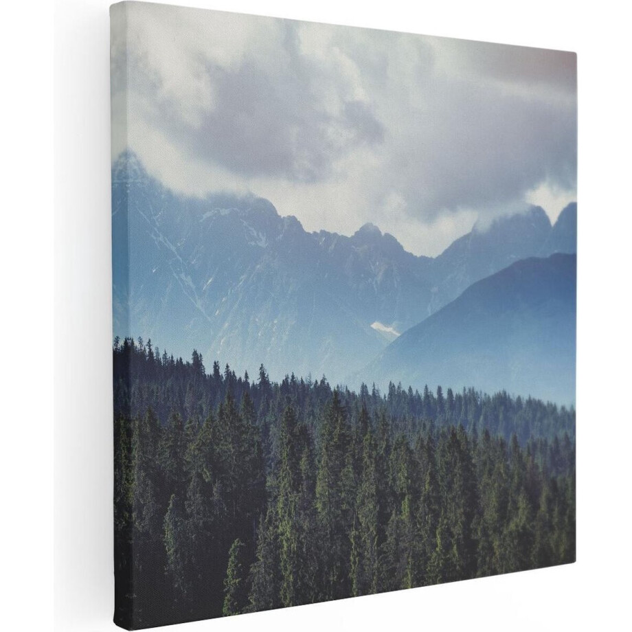 Artaza Canvas Schilderij Bos - 40x40 cm - Klein - Wanddecoratie Bergen - Muurdecoratie Landschap - Schilderijen Op Canvas Artaza Canvas Schilderij Bos - 40x40 cm - Klein - Wanddecoratie Bergen - Muurdecoratie Landschap - Schilderijen Op Canvas afbeelding 1