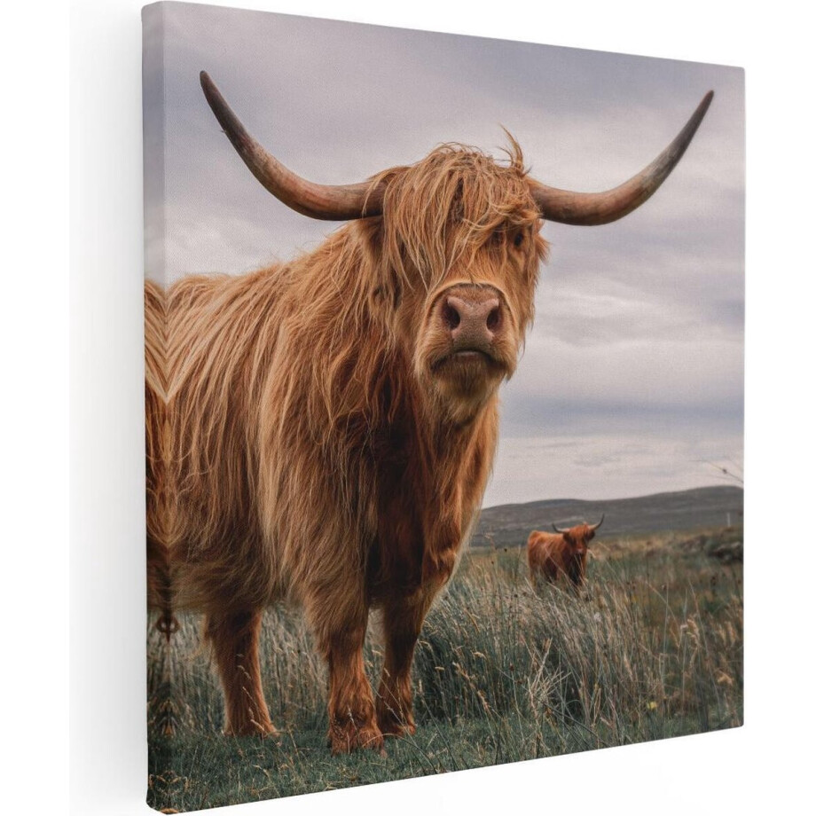 Artaza Canvas Schilderij Schotse Hooglander - 50x50 cm - Wanddecoratie Woonkamer - Muurdecoratie Dieren - Schilderijen Op Canvas afbeelding 1