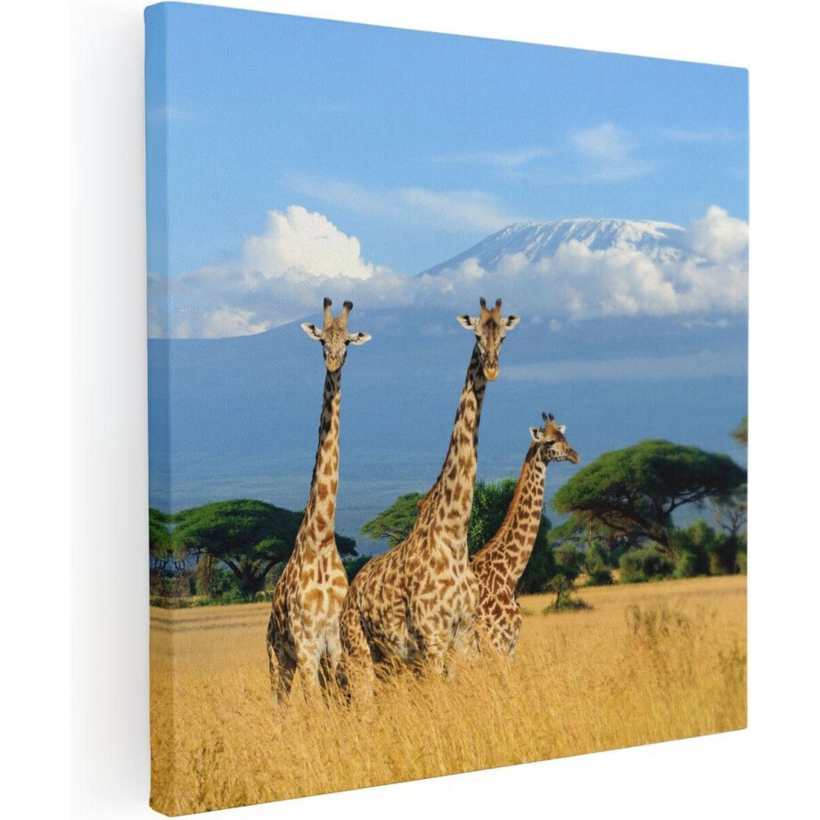 Artaza Canvas Schilderij Afrika - 40x40 cm - Klein - Wanddecoratie Giraffe - Muurdecoratie Wilde Dieren - Kamer Accessoires Savanne Artaza Canvas Schilderij Afrika - 40x40 cm - Klein - Wanddecoratie Giraffe - Muurdecoratie Wilde Dieren - Kamer Accessoires Savanne afbeelding 1