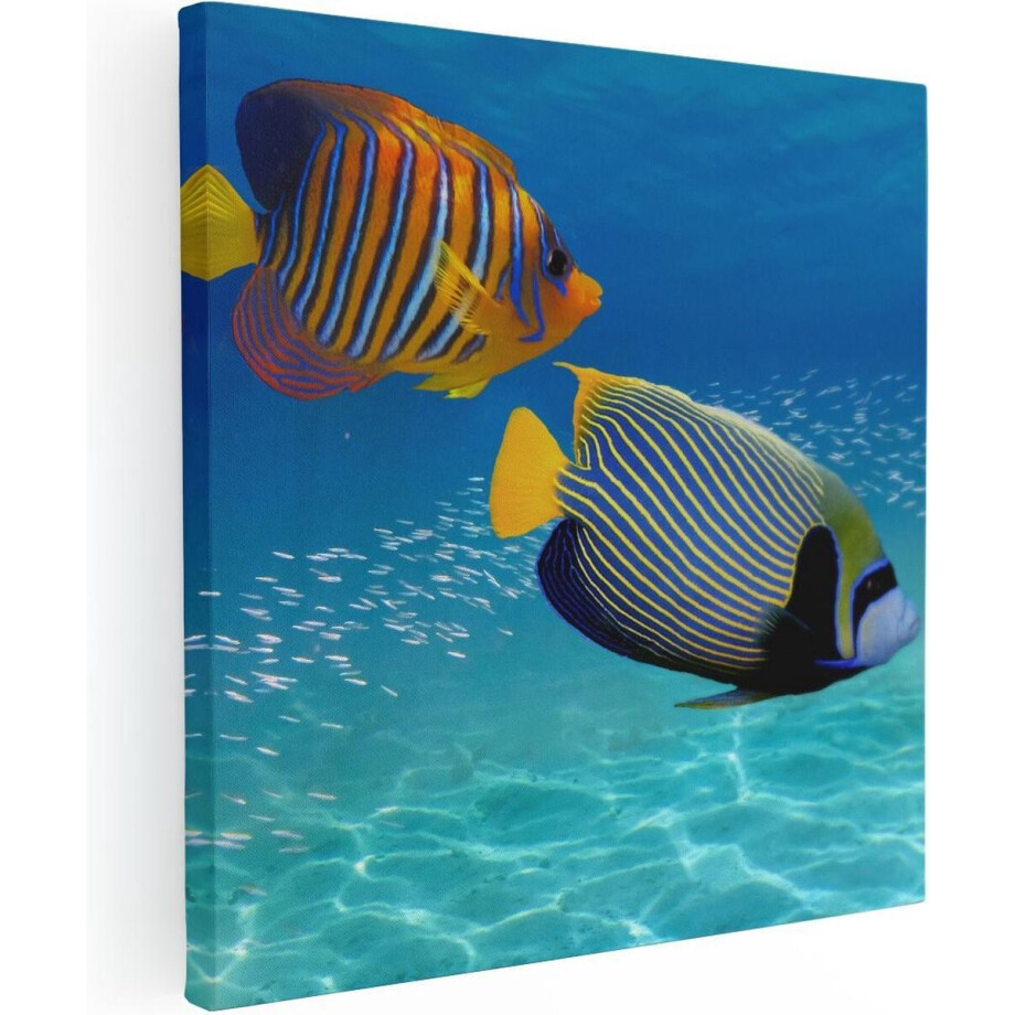 Artaza Canvas Schilderij Twee Tropische Vissen in de Rode Zee - 30x30 - Klein - Foto Op Canvas - Canvas Print Artaza Canvas Schilderij Twee Tropische Vissen in de Rode Zee - 30x30 - Klein - Foto Op Canvas - Canvas Print afbeelding 1