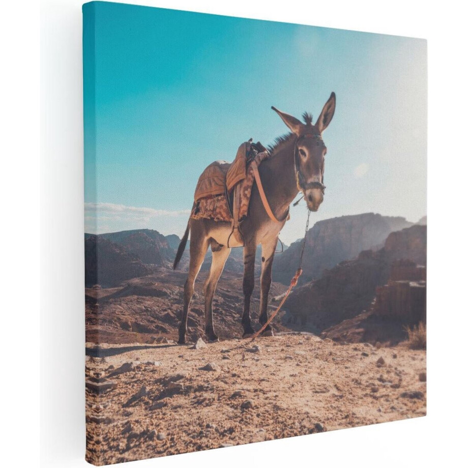 Artaza Canvas Schilderij Ezel In De Woestijn Met Helder Blauw Lucht - 30x30 - Klein - Foto Op Canvas - Canvas Print afbeelding 1