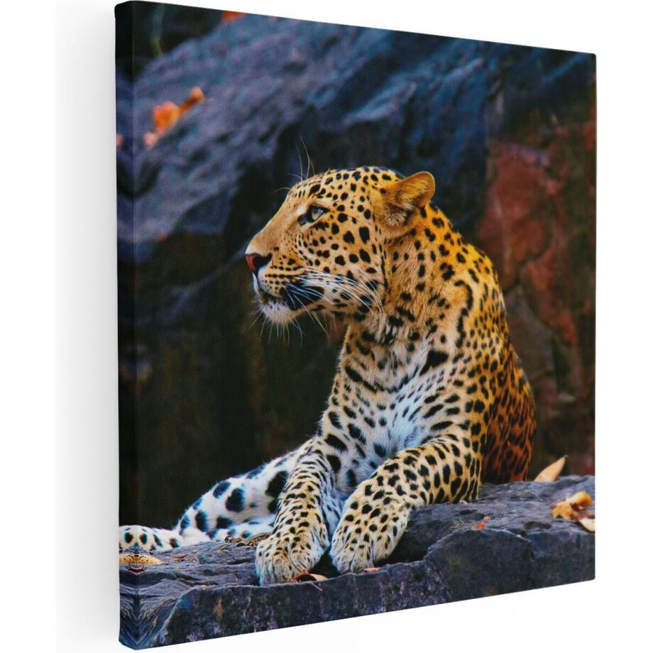 Artaza Canvas Schilderij Luipaard - 50x50 cm - Wanddecoratie Dieren - Muurdecoratie Jungle - Schilderijen Op Canvas afbeelding 1