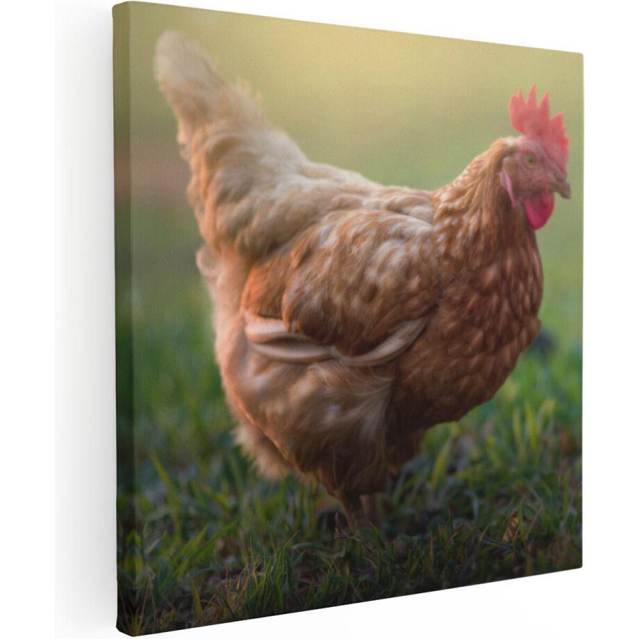 Artaza Canvas Schilderij Kip in het Gras - 90x90 - Groot - Foto Op Canvas - Canvas Print afbeelding 1