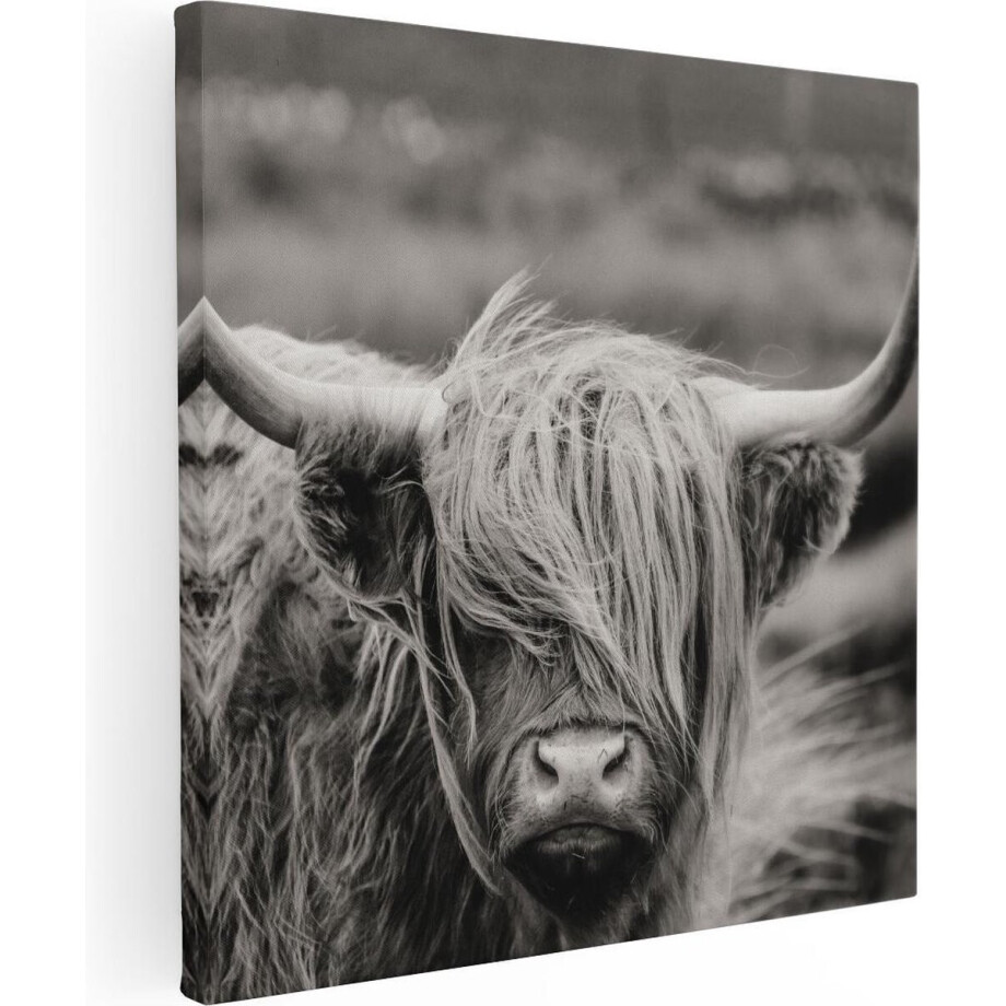 Artaza Canvas Schilderij Schotse Hooglander Koe - Zwart Wit - 70x70 cm - Wanddecoratie Woonkamer - Schilderijen - Muurdecoratie afbeelding 1