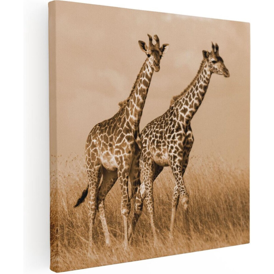 Artaza Canvas Schilderij Twee Giraffes In Het Veld - 70x70 cm - Wanddecoratie Woonkamer - Schilderijen - Muurdecoratie afbeelding 1