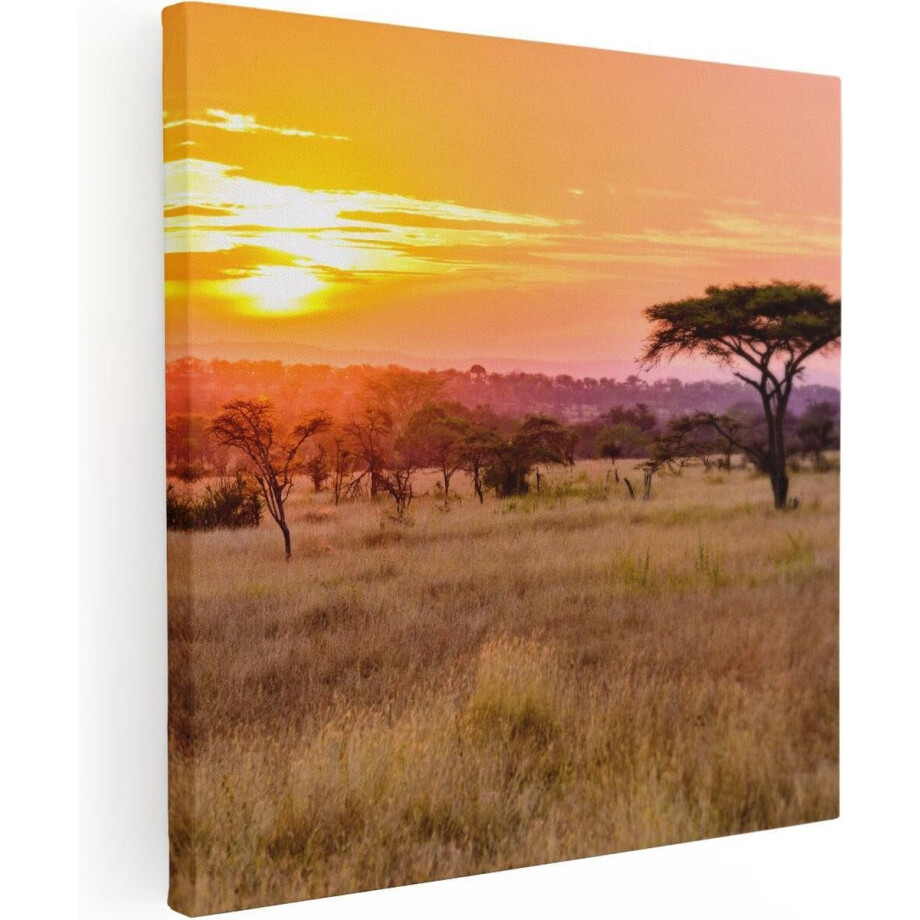 Artaza Canvas Schilderij Savanne Zonsondergang - 30x30 cm - Klein - Wanddecoratie Afrika - Muurdecoratie Natuur - Kamer Accessoires Woonkamer Artaza Canvas Schilderij Savanne Zonsondergang - 30x30 cm - Klein - Wanddecoratie Afrika - Muurdecoratie Natuur - Kamer Accessoires Woonkamer afbeelding 1