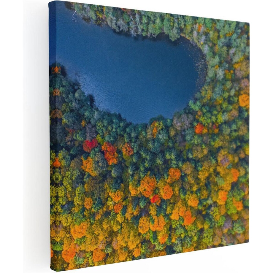 Artaza Canvas Schilderij Herfstbos - 50x50 cm - Wanddecoratie Landschap - Muurdecoratie Bos - Schilderijen Op Canvas Natuur Artaza Canvas Schilderij Herfstbos - 50x50 cm - Wanddecoratie Landschap - Muurdecoratie Bos - Schilderijen Op Canvas Natuur afbeelding 1