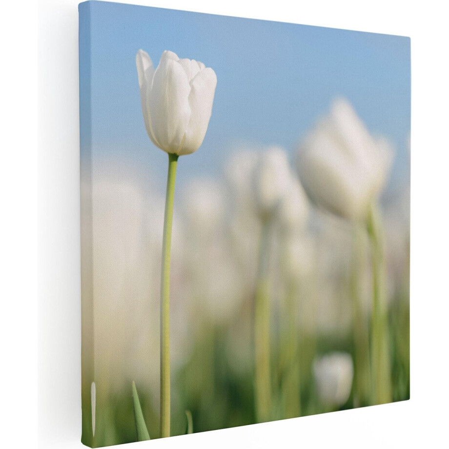 Artaza Canvas Schilderij Witte Tulpen - Bloemen - 30x30 - Foto Op Canvas - Canvas Print afbeelding 1