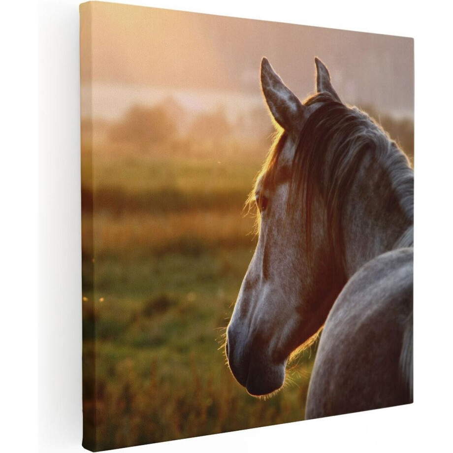Artaza Canvas Schilderij Paard In De Weide Tijdens Zonsondergang - 50x50 - Foto Op Canvas - Canvas Print afbeelding 1
