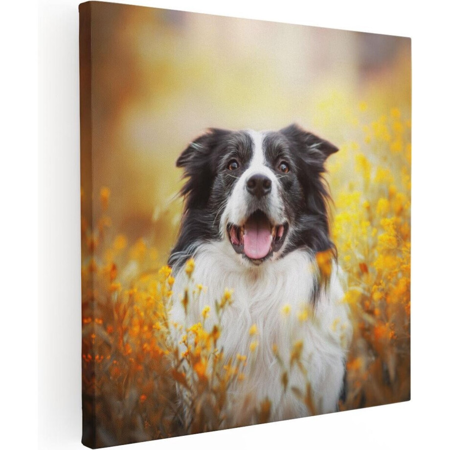 Artaza Canvas Schilderij Blije Hond Tussen De Bloemen - 90x90 - Groot - Foto Op Canvas - Canvas Print Artaza Canvas Schilderij Blije Hond Tussen De Bloemen - 90x90 - Groot - Foto Op Canvas - Canvas Print afbeelding 1