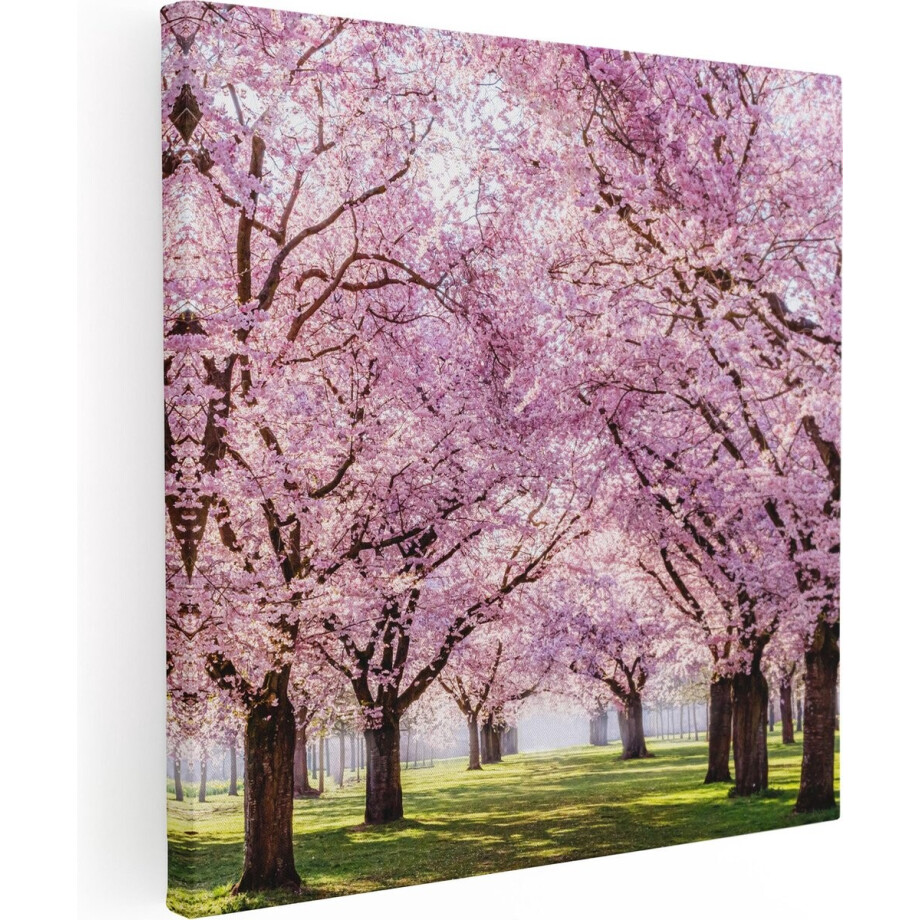Artaza Canvas Schilderij Roze Bloesembomen Park - Bloemen - 60x60 - Foto Op Canvas - Canvas Print afbeelding 1