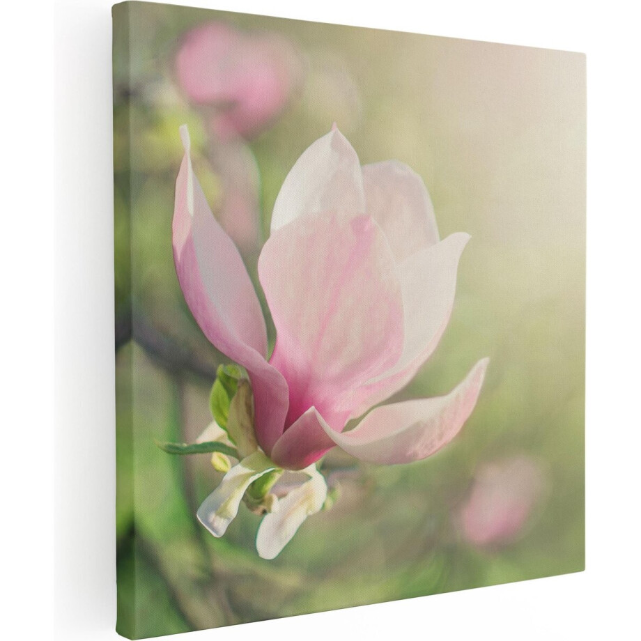 Artaza Canvas Schilderij Roze Magnolia Bloem  - 60x60 - Foto Op Canvas - Canvas Print afbeelding 1