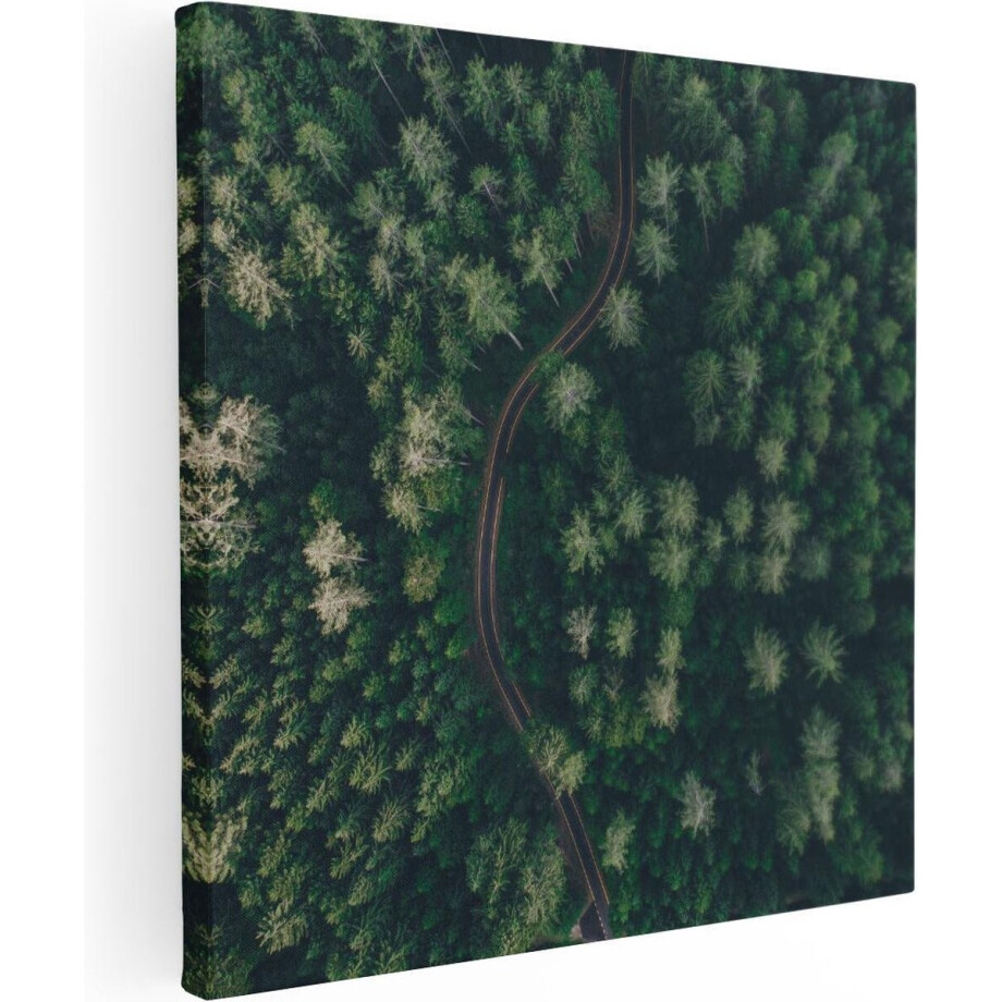 Artaza Canvas Schilderij Weg Door Bos Met Bomen - Bovenaanzicht - 80x80 - Groot - Foto Op Canvas - Canvas Print afbeelding 1