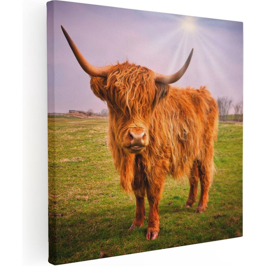Artaza Canvas Schilderij Hooglander - 40x40 cm - Klein - Wanddecoratie Gewei - Muurdecoratie Woonkamer - Kamer Accessoires afbeelding 1