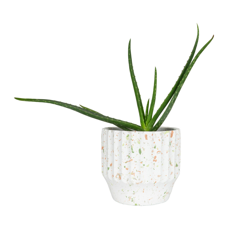 QUVIO Bloempot spikkels - Beton - Diameter 18 cm afbeelding 1