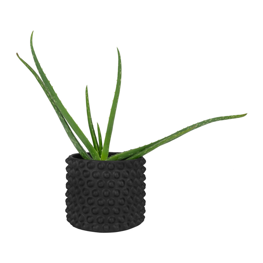QUVIO Bloempot met bolletjes - Beton - Diameter 15 cm afbeelding 1