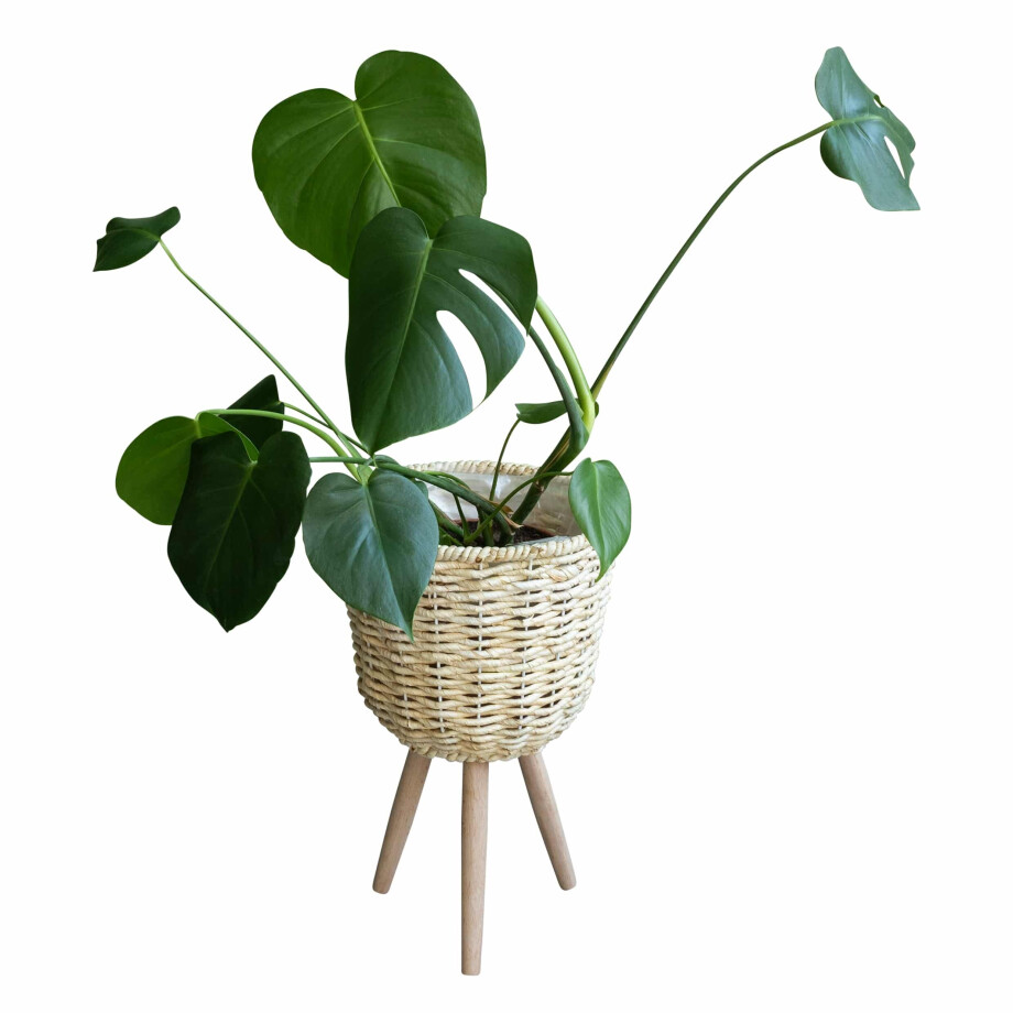 QUVIO Plantenmand op driepoot - 26 x 41,5 cm (dxh) afbeelding 1