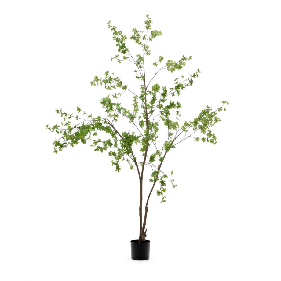 Kave Home Kunstplant 'Enkianthus' 214cm afbeelding 1