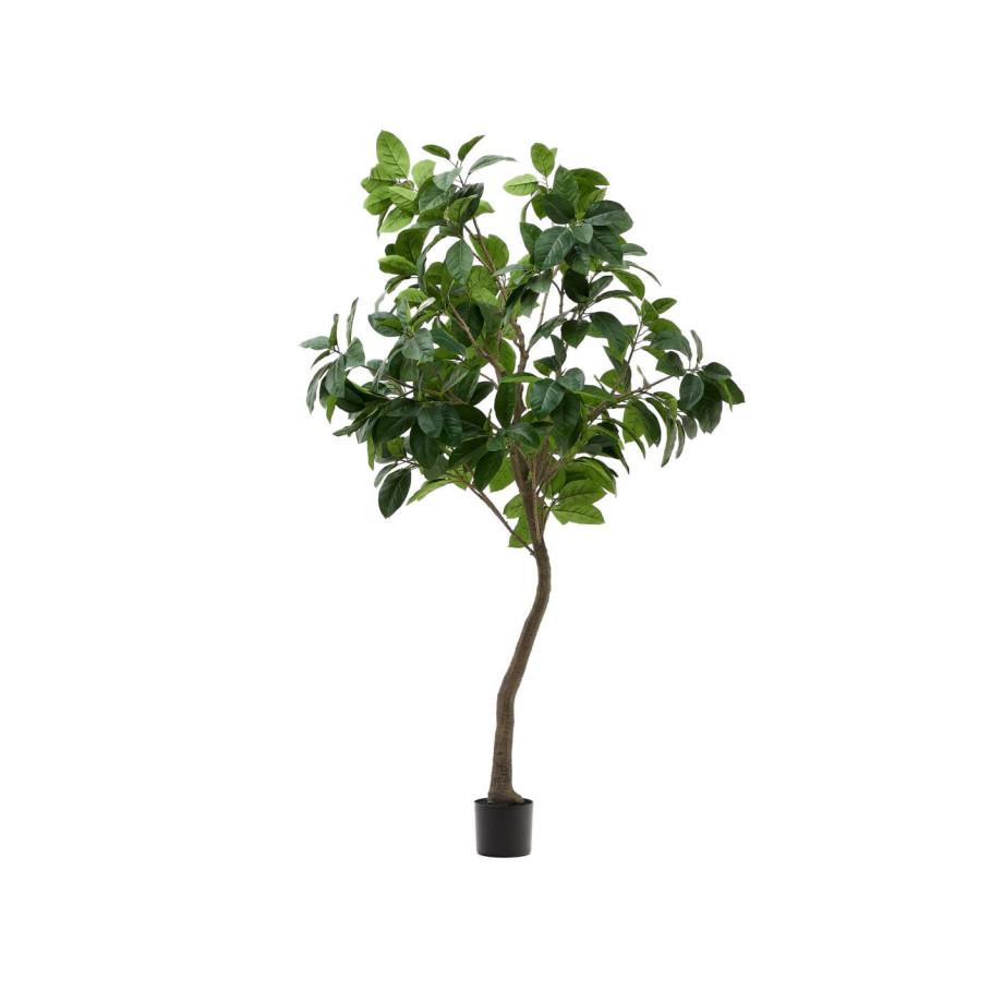 Kave Home Kunstplant 'Ficus' 210cm hoog afbeelding 1