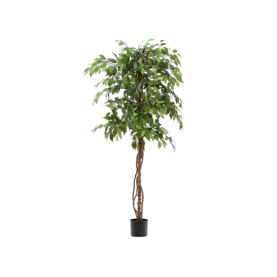 Kave Home Kunstplant 'Ficus' 180cm hoog afbeelding 1