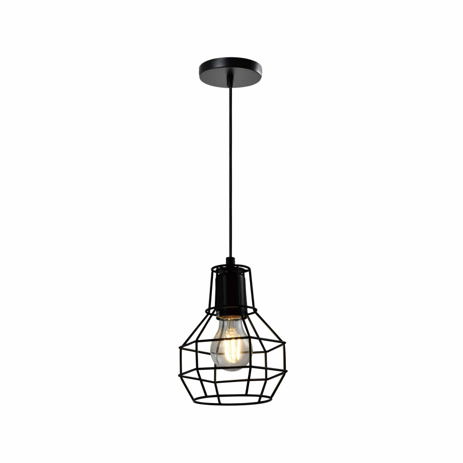 QUVIO Hanglamp industrieel - Draadlamp bol - D 15 cm - Zwart afbeelding 1