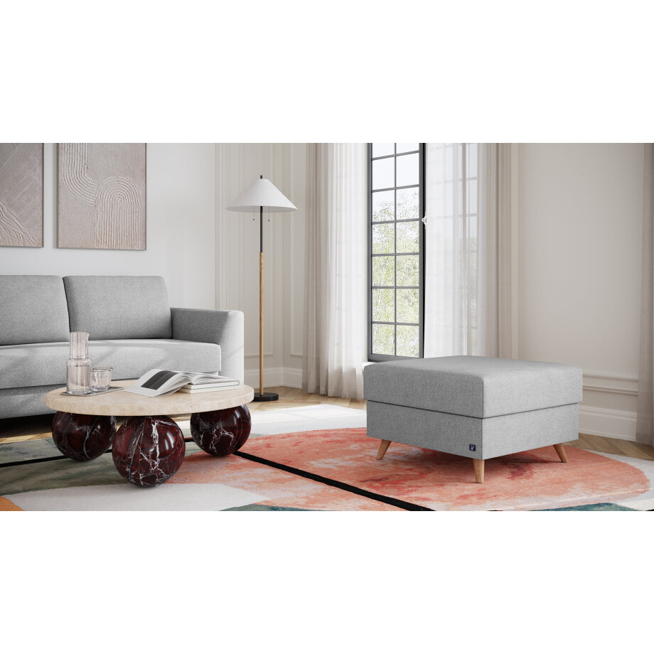 BRUNO poef 70x70 in aurora zilvergrijs | Comfortabele opbergruimte en praktische opbergruimte BRUNO poef 70x70 in aurora zilvergrijs | Comfortabele opbergruimte en praktische opbergruimte afbeelding 1